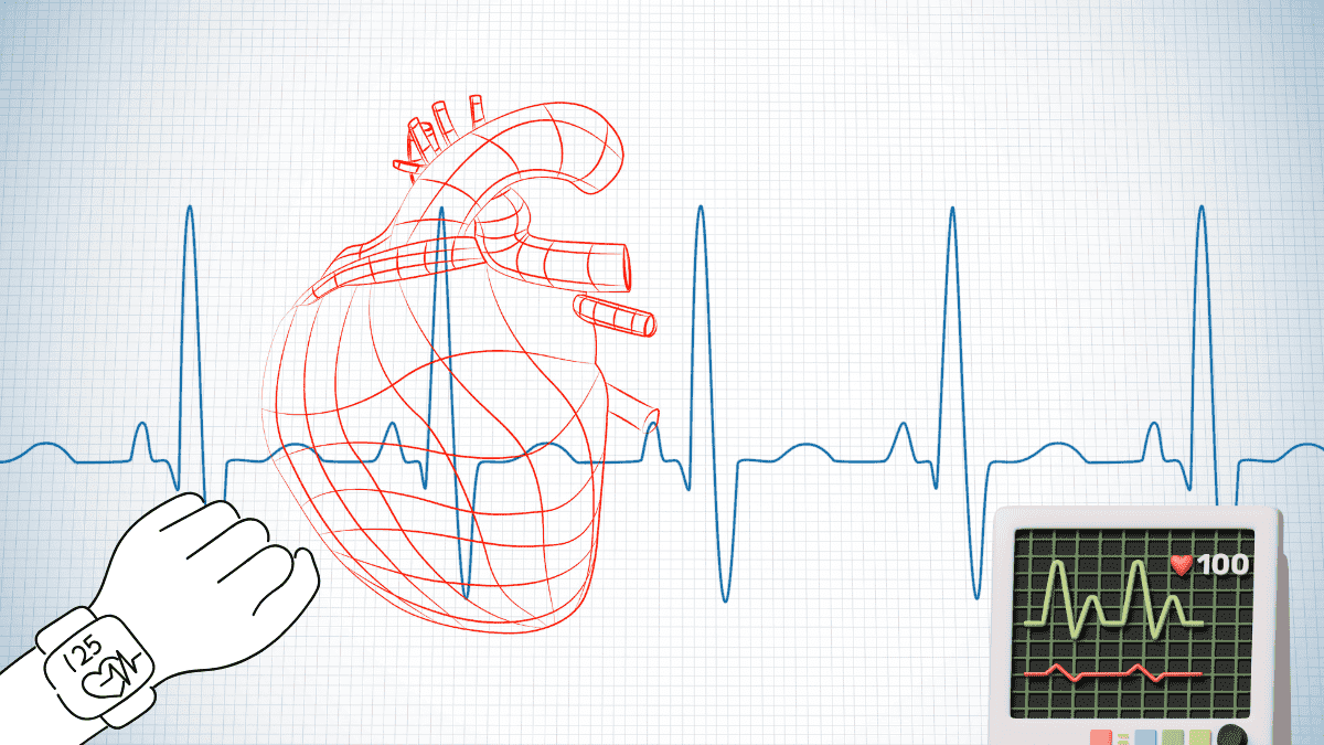 Normal Heart Rate What You Need to Know for a Healthy Heart