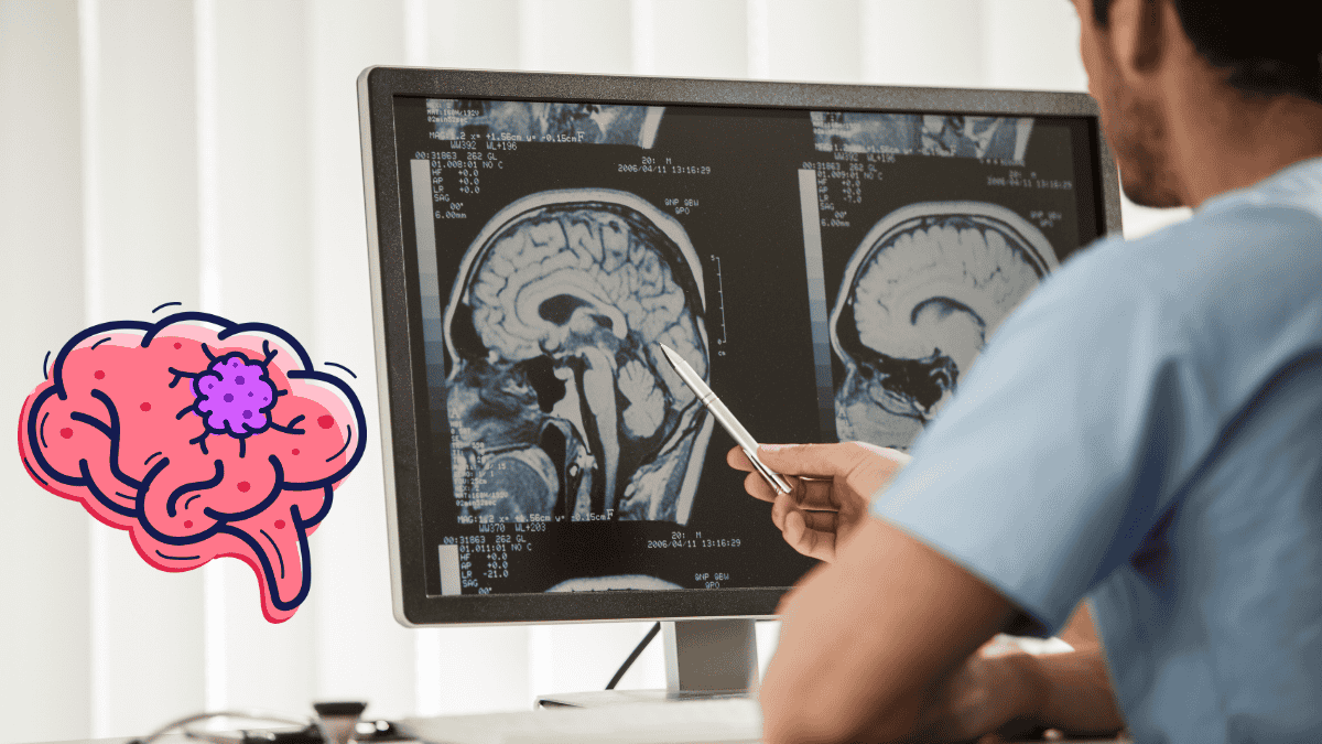 Tumor Necrosis Factor Role, Functions, and Clinical Significance